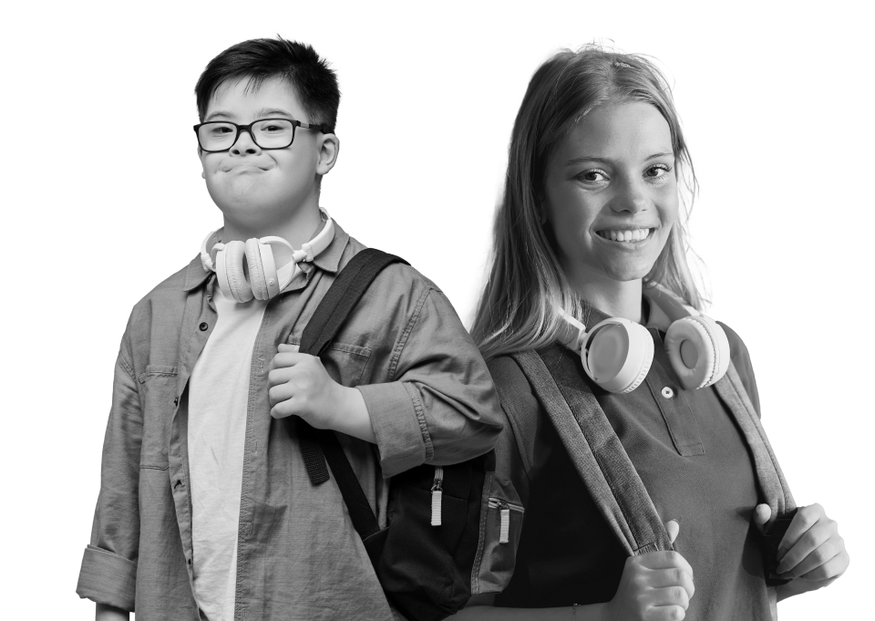 assessment-banner icon